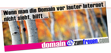 Domain Marketing